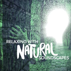 Relaxing with Natural Soundscapes - Relaxing Nature Ambience