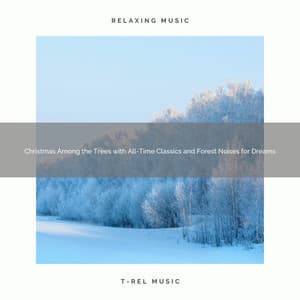 Christmas Among the Trees with All-Time Classics and Forest Noises for Dreams - The Outdoor Library