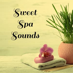 Sweet Spa Sounds - Kundalini: Yoga, Meditation, Relaxation