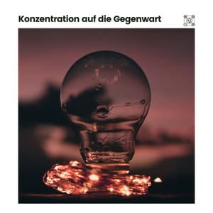Konzentration Auf Die Gegenwart - Spa-Musik