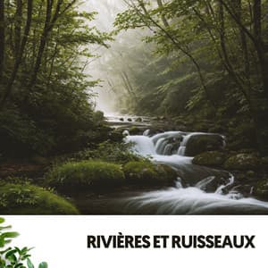 Sons de la Rivière et Musique : Le Murmure de la Nature - Ruido Blanco Hart