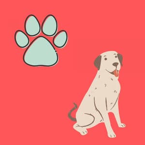 Music for Doggo in Winter - Astonishing Jazz Quintet - Puppy Sleeping Sounds