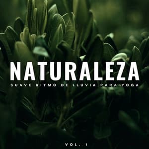 Naturaleza: Suave Ritmo De Lluvia Para Yoga Vol. 1 - Lluvia de yoga