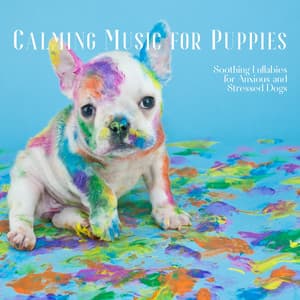 Calming Music for Puppies, Soothing Lullabies for Anxious and Stressed Dogs - Dog Therapy Zone