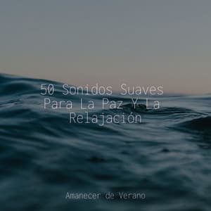 50 Sonidos Suaves Para La Paz Y La Relajación - Sons da Natureza
