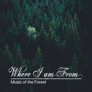 Where I Am From - Music of the Forest