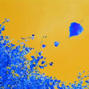 Piano Jazz Duo - Music for Sweater Weather - Coffee Shop Jazz