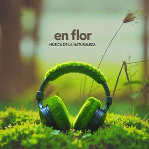En flor - Música de la Naturaleza
