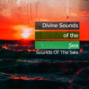 Divine Sounds of the Sea - Sounds Of The Sea