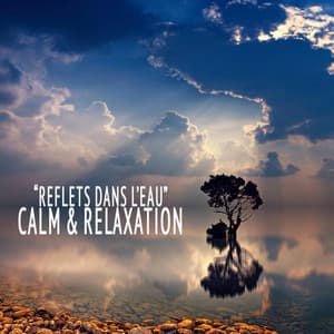 "Reflets dans l'eau" - Calm & Relaxation - Johann Sebastian Bach