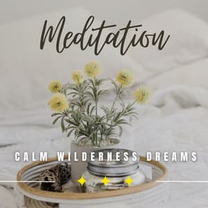 Calm Wilderness Dreams: Nature's Sleep Elixir - The Sleep Phasers