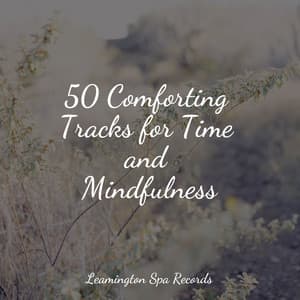 50 Comforting Tracks for Time and Mindfulness - Water Sound Natural White Noise
