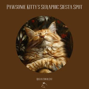 Pawsome Kitty's Seraphic Siesta Spot - Relax Your Cat