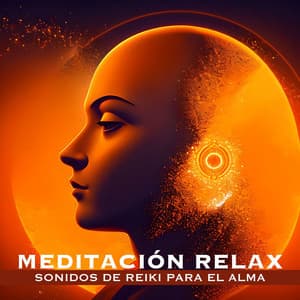 Meditación Relax: Sonidos de Reiki para el Alma - Musica Tranquila Maestro