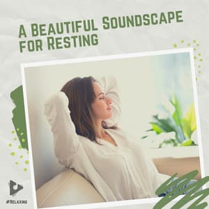 A Beautiful Soundscape for Resting - #Relaxing