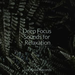 Deep Focus Sounds for Relaxation - Spa