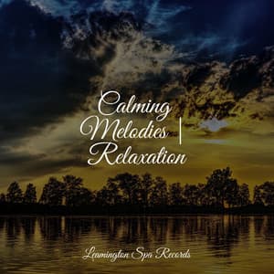 Calming Melodies | Relaxation - Relaxing Sounds Of Nature