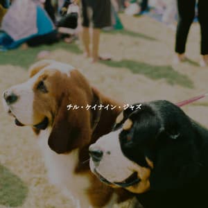 チル・ケイナイン・ジャズ - Cafe Jazz Duo