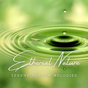 Ethereal Nature Reverie: Meditation Music - Healing Chakra Collective