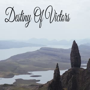 Destiny Of Victors - Relajacion Meditar Academia