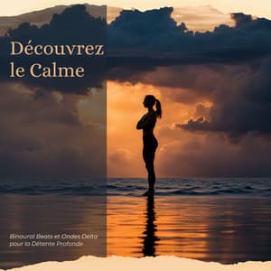 Découvrez le Calme: Binaural Beats et Ondes Delta pour la Détente Profonde - Jardin japonais