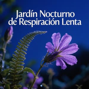 Jardín Nocturno de Respiración Lenta - Música de relajación profunda