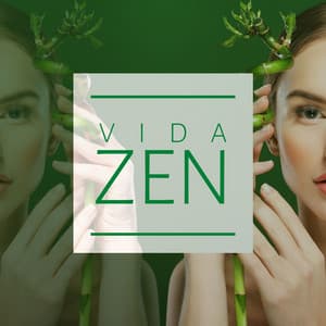 Vida Zen: Música para Purificar el Interior de tu Casa - Meditacion Budista Maestros