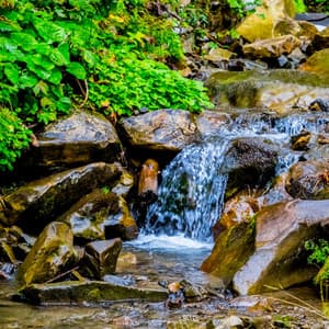 Soothing Streamside Retreat: Chill Music Water's Flow - Nature Calm