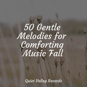 50 Gentle Melodies for Comforting Music Fall - A Sudden Rainstorm