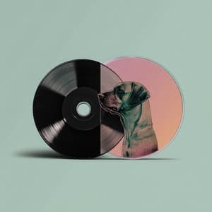 अपने कुत्ते के साथ स्व-रचित इलेक्ट्रॉनिक संगीत का आनंद लें - Music For Studying and Concentration