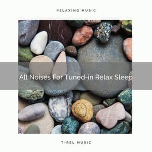 All Noises For Tuned-in Relax Sleep - White Noise Hour