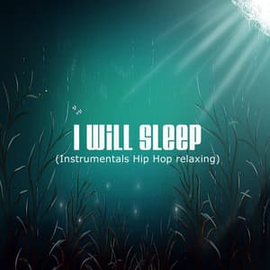 I will sleep - - Snake Beats