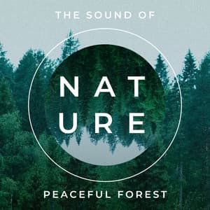 Nature: The Sound of Peaceful Forest - Harmony Nature Sounds Academy