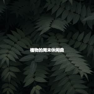 植物的周末休闲曲 - Mellow Jazz Playlist