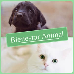 Bienestar Animal - Relajación Natural Maestro