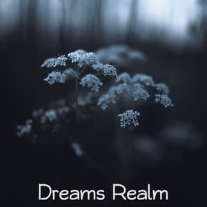 Dreams Realm - Meeresrauschen