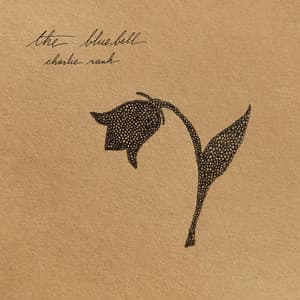 The Bluebell - Charlie Rauh