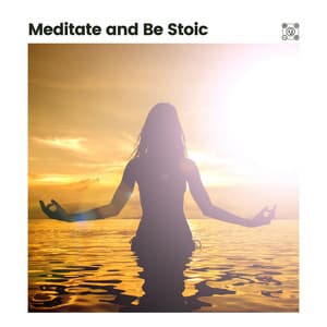 Meditate and Be Stoic - Reiki Healing Zone