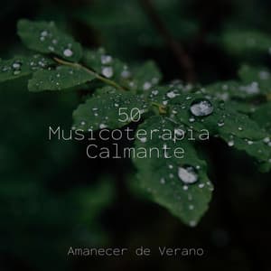 50 Musicoterapia Calmante - Meditación Guiada