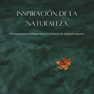 Inspiración De La Naturaleza: Un Paisaje Sonoro Relajante Para Un Ambiente De Trabajo Productivo - Naturaleza FX
