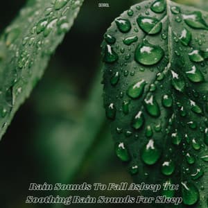 Rain Sounds to Fall Asleep To: Soothing Rain Sounds for Sleep - Derrol