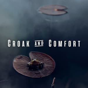 Croak & Comfort: Frog-Inspired Sleep Melodies - Sounds from Above