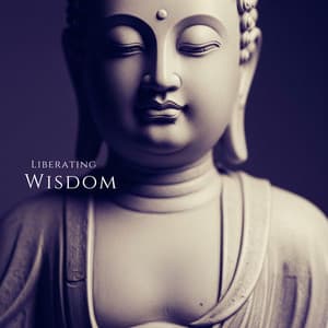 Liberating Wisdom - Noah Dhamoren