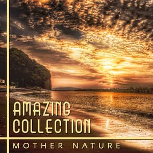 Amazing Collection: Mother Nature – Relaxation Music for Inner Peace, Soothe Your Soul, Blissful Meditation, Therapy for Stress - Calming Sounds Sanctuary