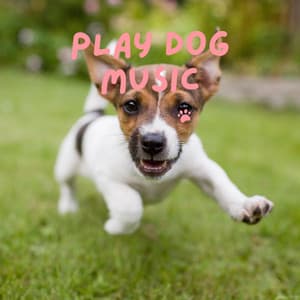 Play Dog Music - Pet Music Therapy