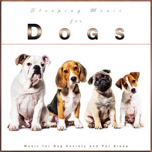 Sleeping Music for Dogs: Music for Dog Anxiety and Pet Sleep - Pure Dog Music