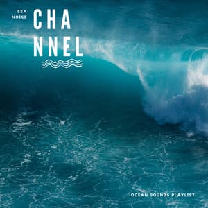 Ocean Sounds Playlist - Sea Noise Channel