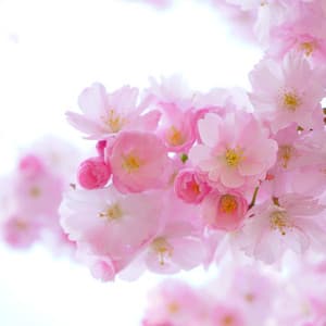 Peaceful Me – Good Night Noise - Peaceful Me