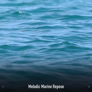 !!!!" Melodic Marine Repose "!!!! - Ocean Waves