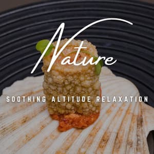 Mountain Tranquility: High Altitude Relaxation - Osterous